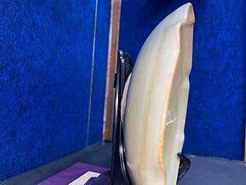 Amazon.co.jp: 萩焼 蓮光山3代目 徹千代作品 姫萩三島鉢 登窯